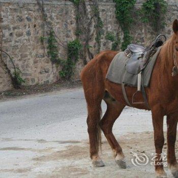 保定狼牙山忠诚农家酒店提供图片