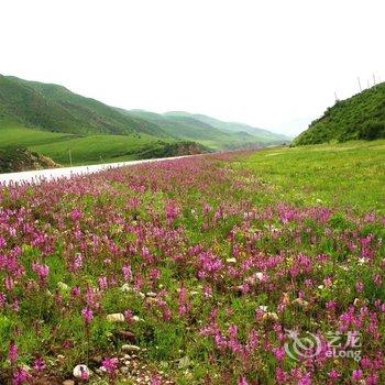 若尔盖祥安宾馆酒店提供图片