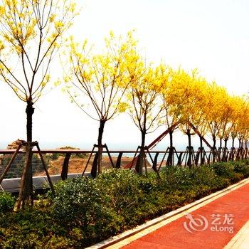 北京大学(青岛)国际学术中心酒店提供图片