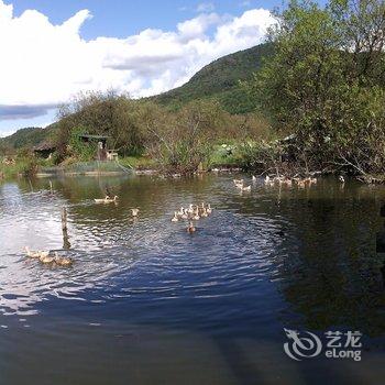 和顺观湖楼民居酒店提供图片