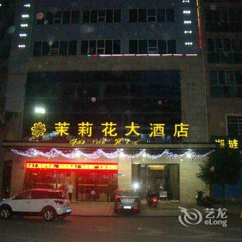 娄底茉莉花大酒店酒店提供图片