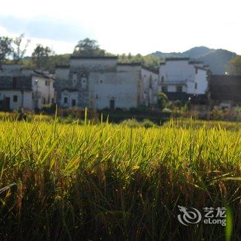 婺源墅家墨娑(西冲院)酒店提供图片