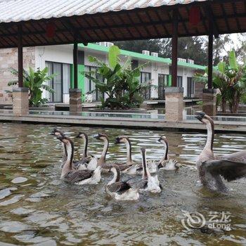 北海嘉莱涠洲北岸海景酒店酒店提供图片