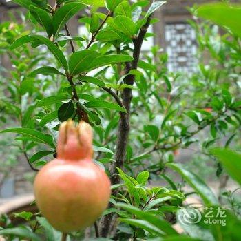 平遥一得客栈酒店提供图片