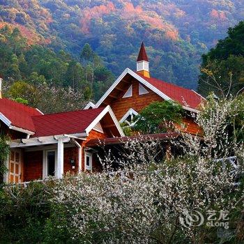 新兴天露山温泉养生度假酒店酒店提供图片