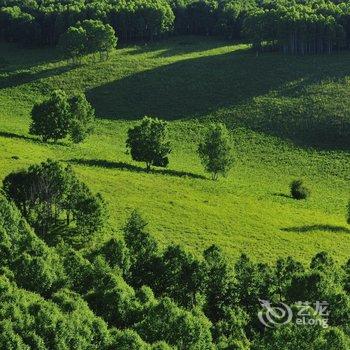 阿尔山祥水湾度假别墅酒店提供图片