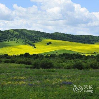 阿尔山祥水湾度假别墅酒店提供图片