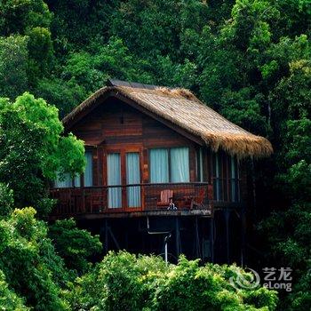 三亚亚龙湾人间天堂鸟巢度假村酒店提供图片