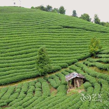 贺州黄姚金麦缘驿站酒店提供图片