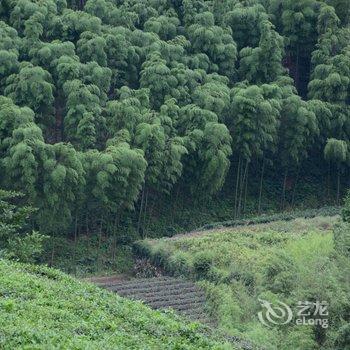 莫干山里人家酒店提供图片