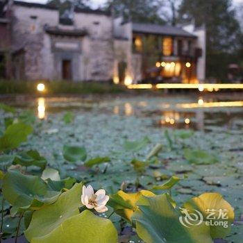 婺源墅家墨娑(西冲院)酒店提供图片