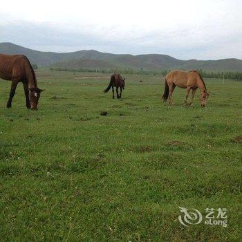 丰宁(承德)海泳农家院酒店提供图片