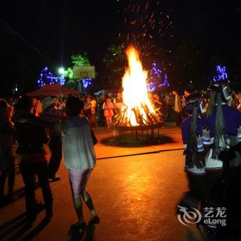 石林蓝莓庄园野奢木屋酒店酒店提供图片