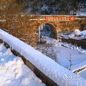 林州天平山桃园度假村酒店提供图片