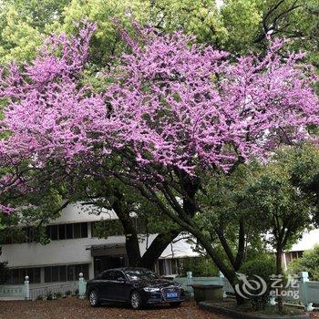 千岛湖度假村酒店提供图片