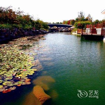 潍坊天悦山庄酒店提供图片