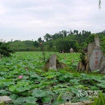 金鹰山庄旅游度假酒店酒店提供图片