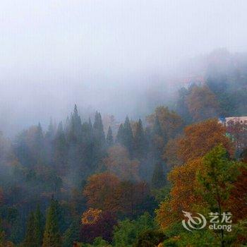 莫干山曼居后坞酒店提供图片