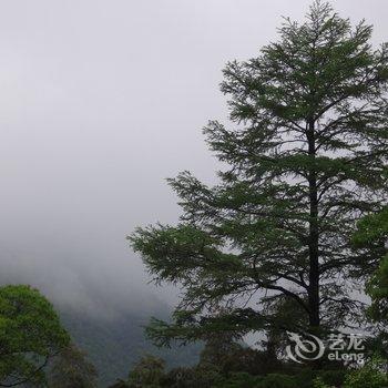 湖州安吉天然休闲农庄酒店提供图片