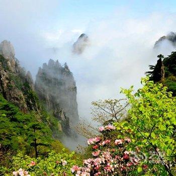 黄山景区门票酒店提供图片