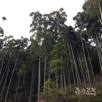 莫干山里人家酒店提供图片