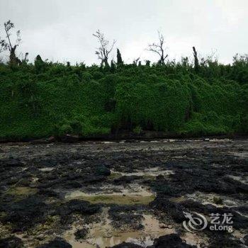 北海涠洲岛奇居雅阁游多多客栈酒店提供图片