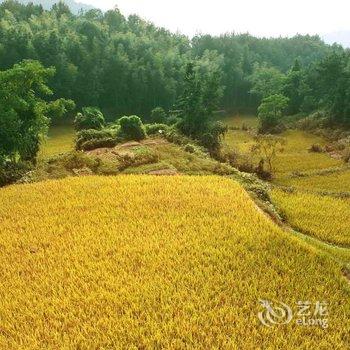 天柱山千友山庄酒店提供图片