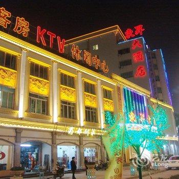 揭阳普宁东昇大酒店酒店提供图片