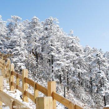 大邑花水湾山青六六园酒店提供图片