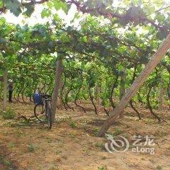 易县富察农家院酒店提供图片