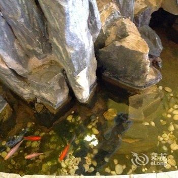 唐山馨逸宾馆酒店提供图片