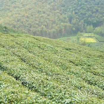 莫干山里人家酒店提供图片