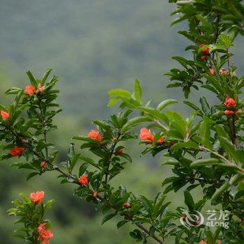 莫干山里人家酒店提供图片