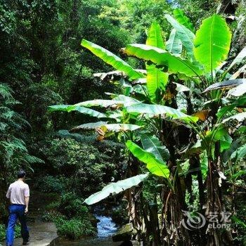 龙岩桫椤谷别墅度假酒店酒店提供图片