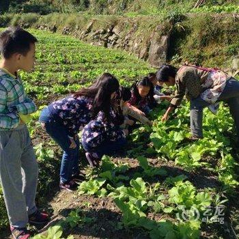 遂昌车前山庄酒店提供图片