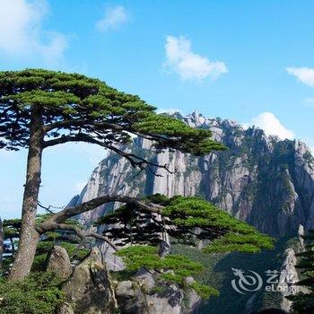 黄山景区门票酒店提供图片