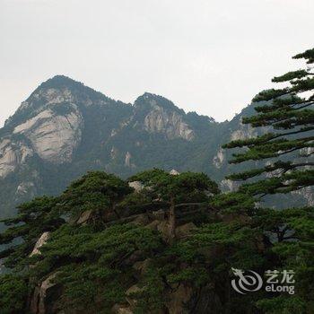 英山大别山紫溪山庄酒店提供图片