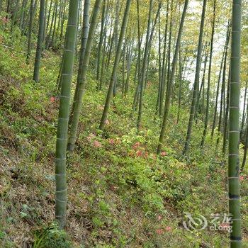 莫干山里人家酒店提供图片