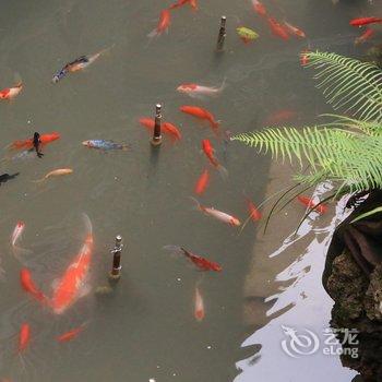 阆中镇江楼客栈酒店提供图片