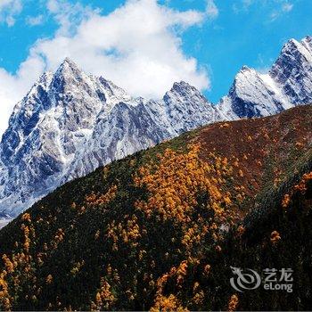 理县阿古藏式别墅山庄酒店提供图片