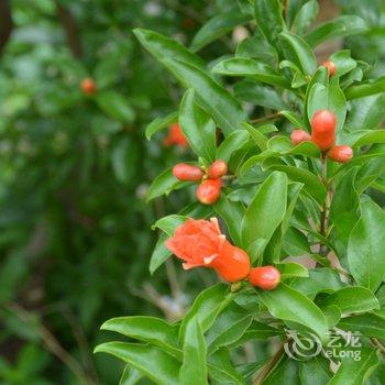 莫干山里人家酒店提供图片