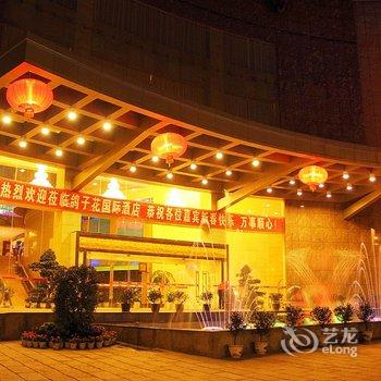 张家界鸽子花国际酒店酒店提供图片