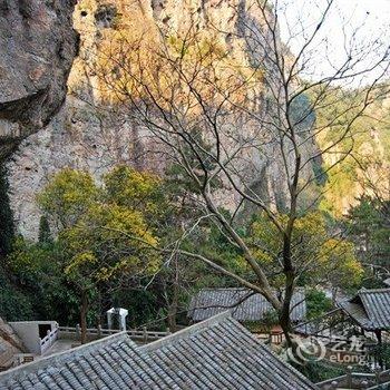 雁荡山森林公园度假名邸酒店提供图片