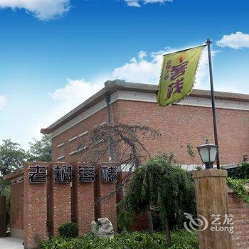 老树主题客栈(香河店)酒店提供图片