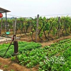 易县富察农家院酒店提供图片