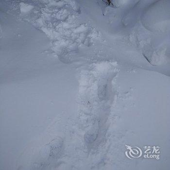 雪乡二浪河维子家庭旅馆酒店提供图片