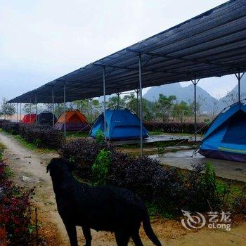 阳朔凤凰农场酒店提供图片