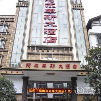 南丹阿尔卑斯大酒店(河池)酒店提供图片