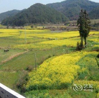 婺源思溪田缘居舍客栈酒店提供图片