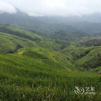 龙胜垄忆轩民宿酒店提供图片